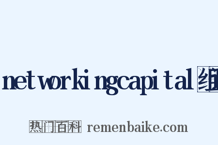 networkingcapital组词是什么意思的图片